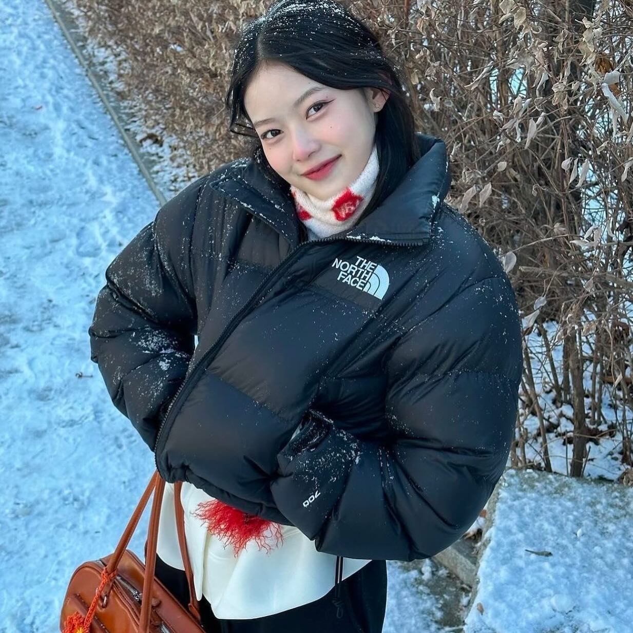 The North Face